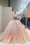 Sheer Round Neckline Pink Lace Applique Wedding Dresses Quinceanera Dress