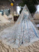 cinderella lace long sleeves wedding dress with embroidery appliques dtw66